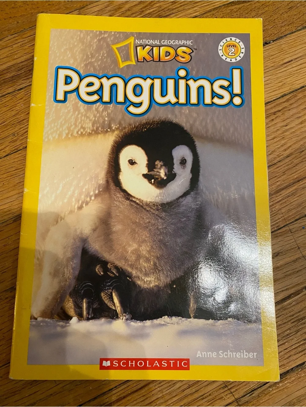 Scholastic lot kids