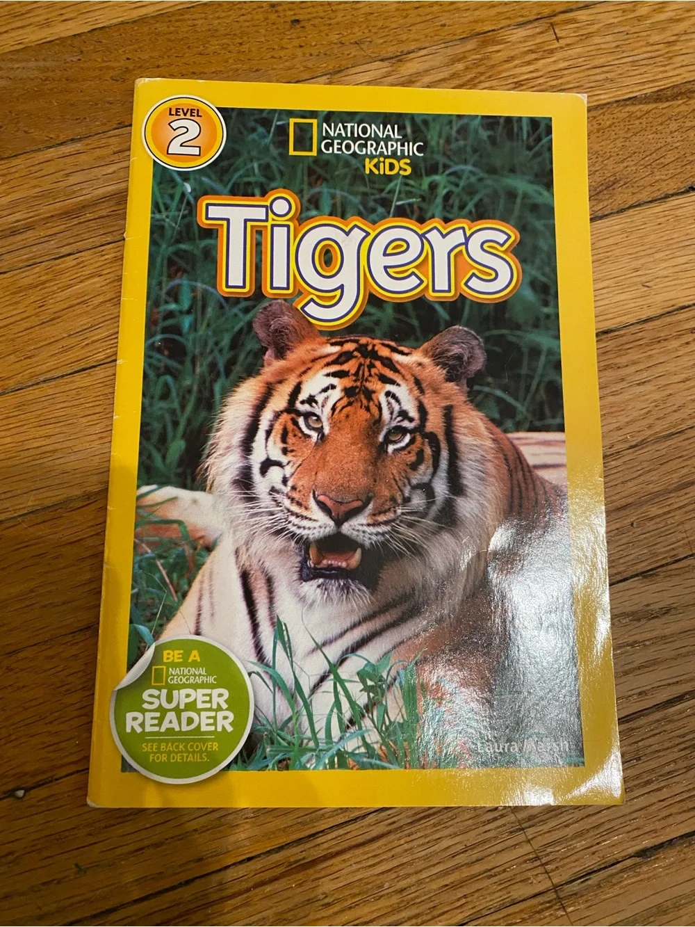 Scholastic lot kids