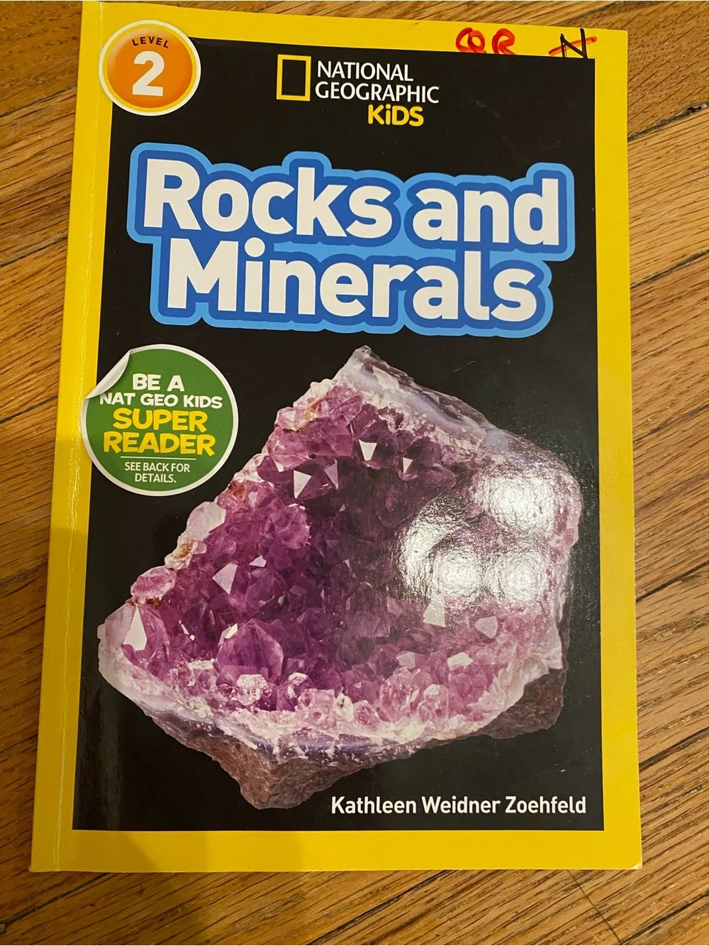 Scholastic lot kids