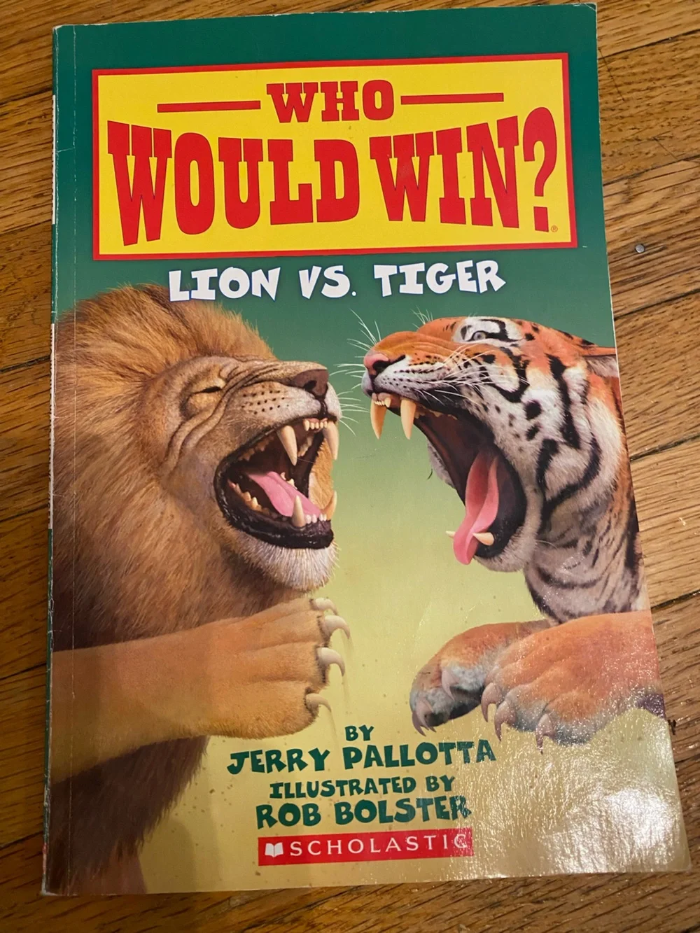 Scholastic lot kids