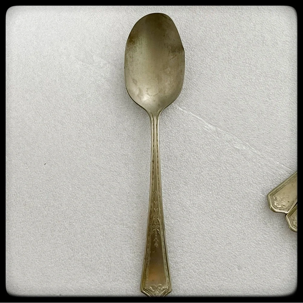 Wm Rogers elegant nickel