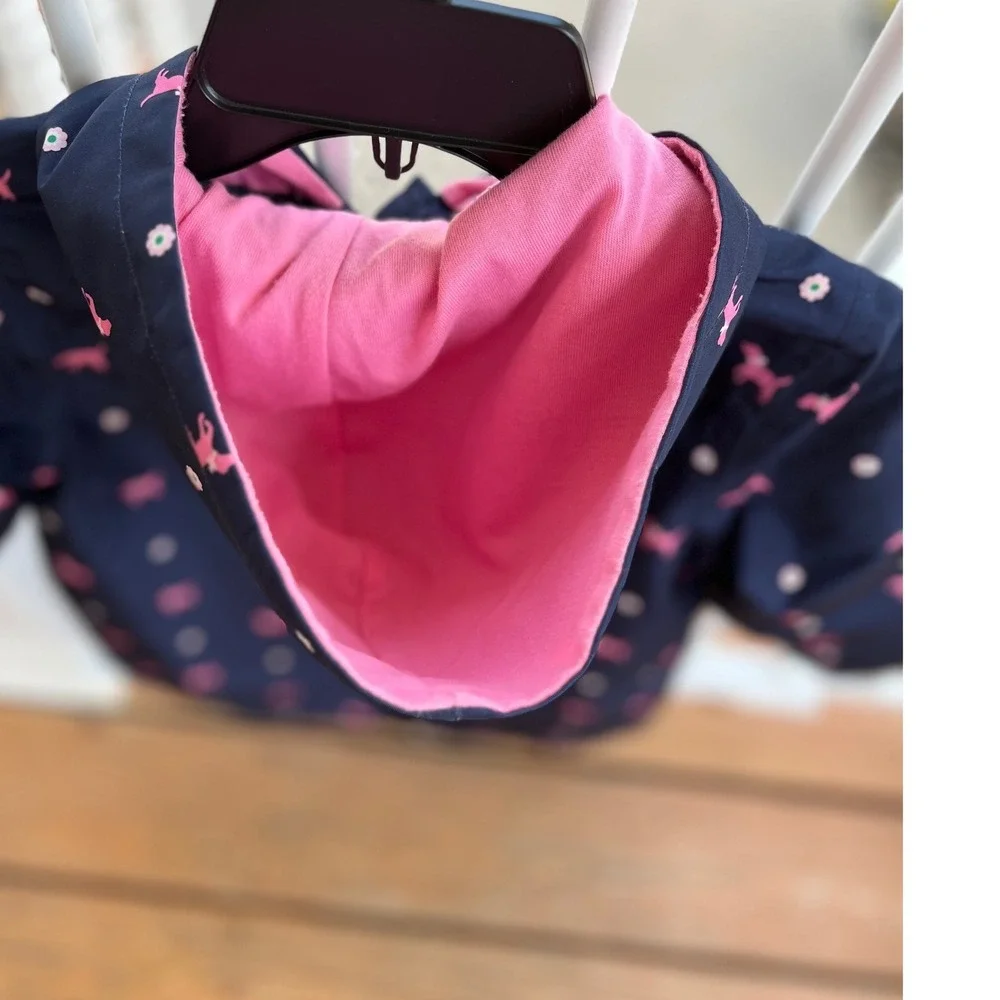 Gymboree delightful splash