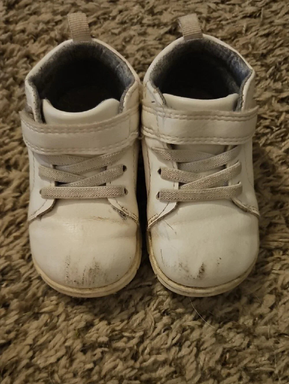 Carters padded design off