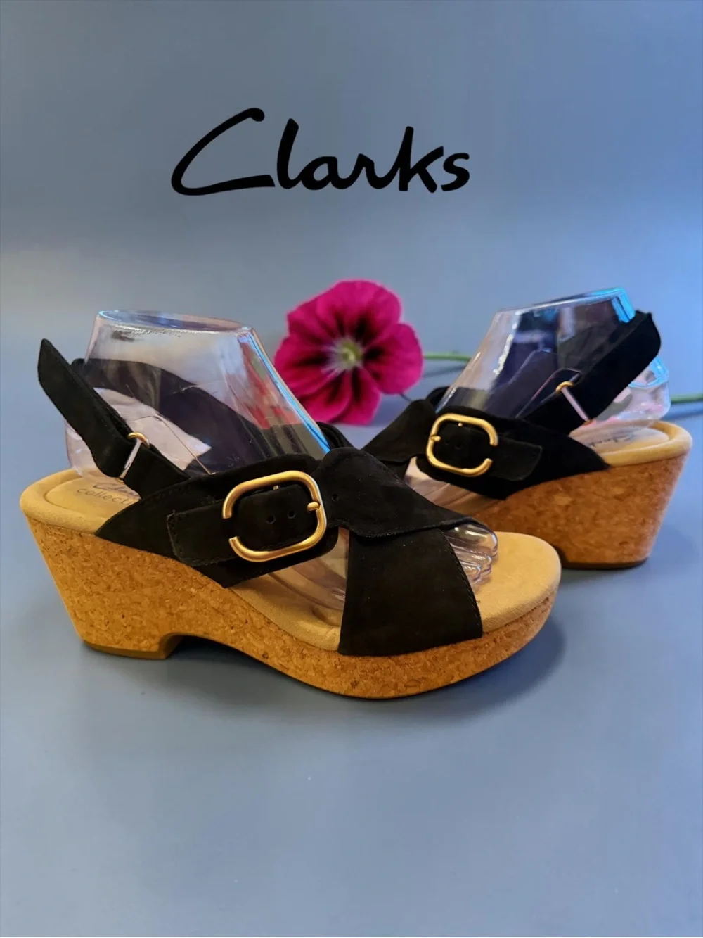 Clarks expected box dove