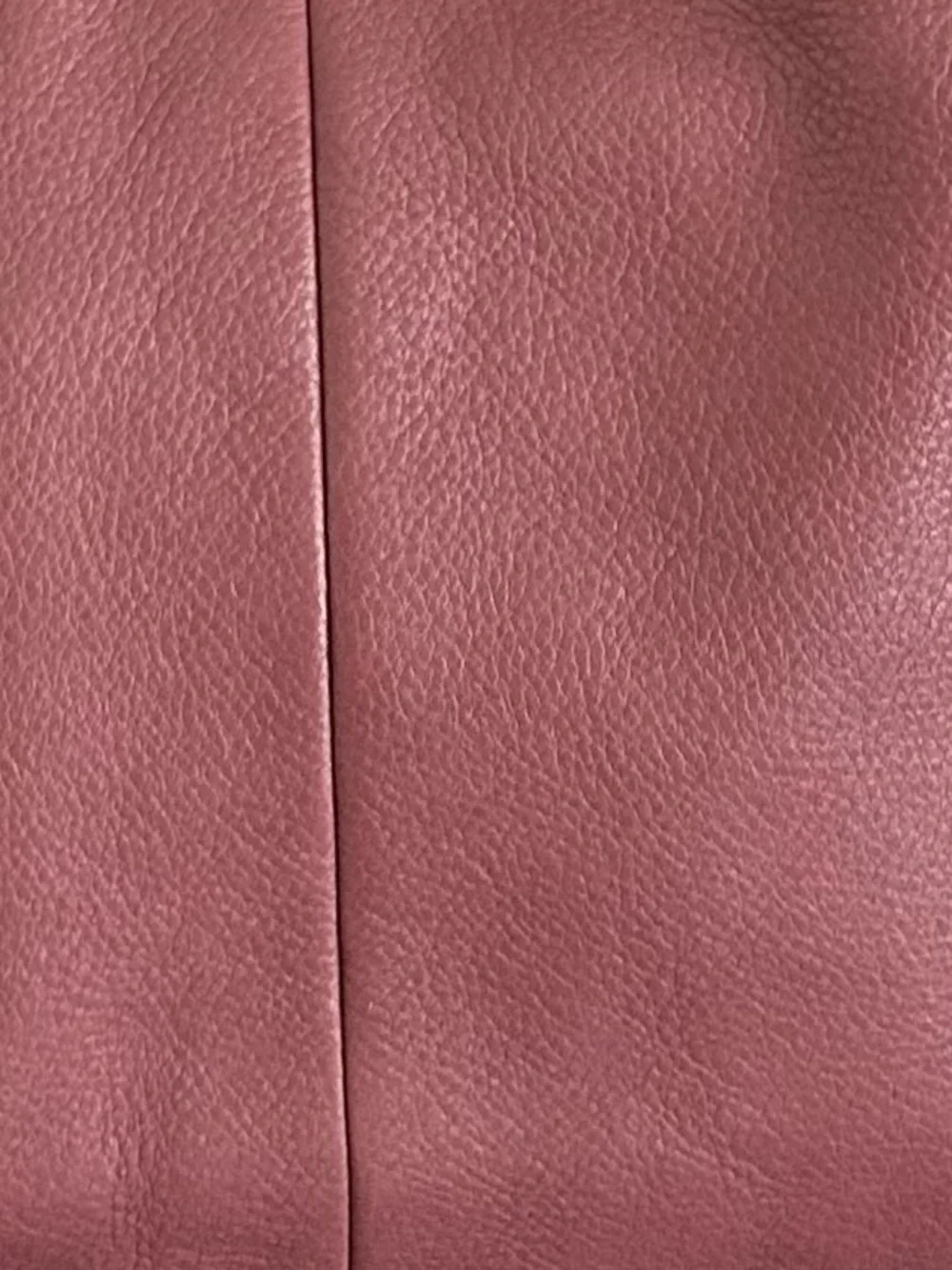 Coach features noticeable leather
