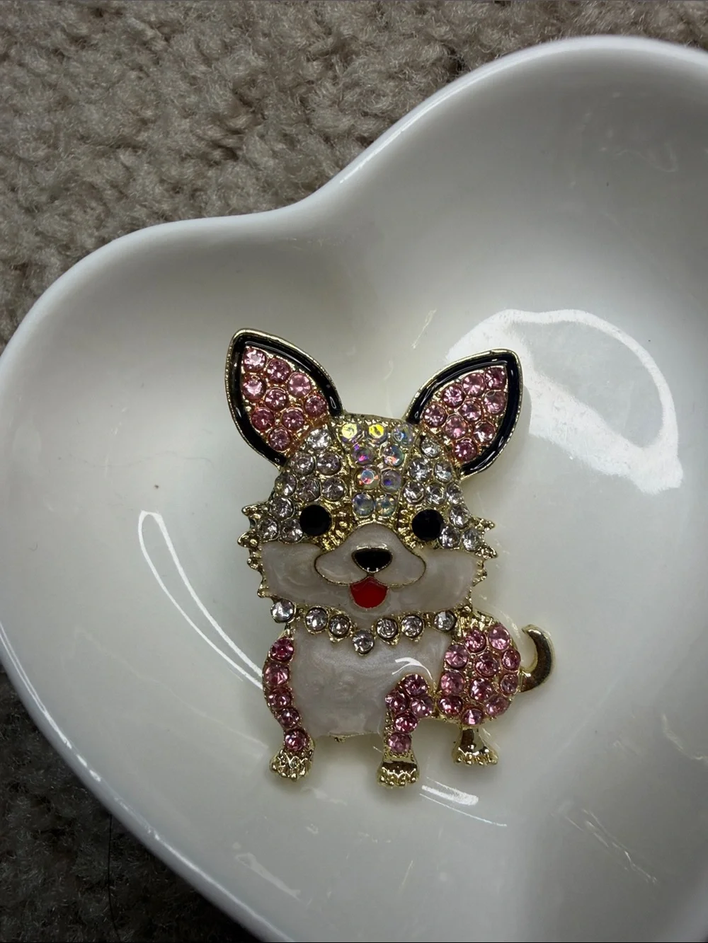 N/A cute chihuahua