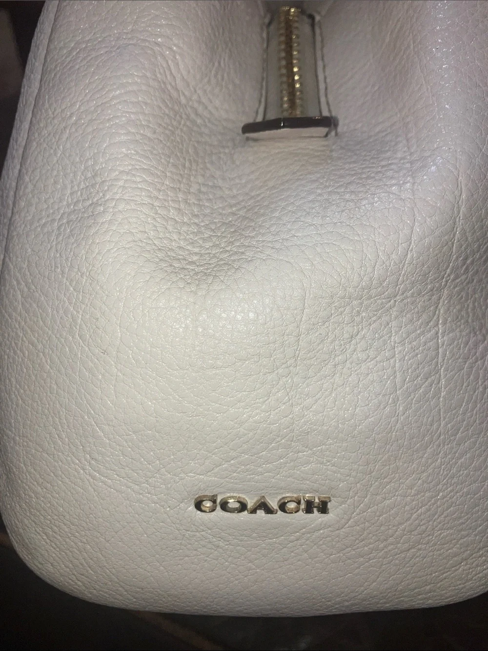 Coach pebble hardware thick