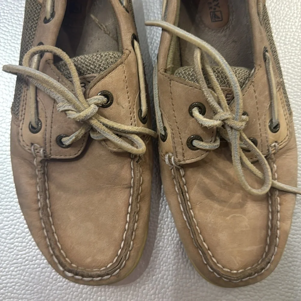 Sperry good pre