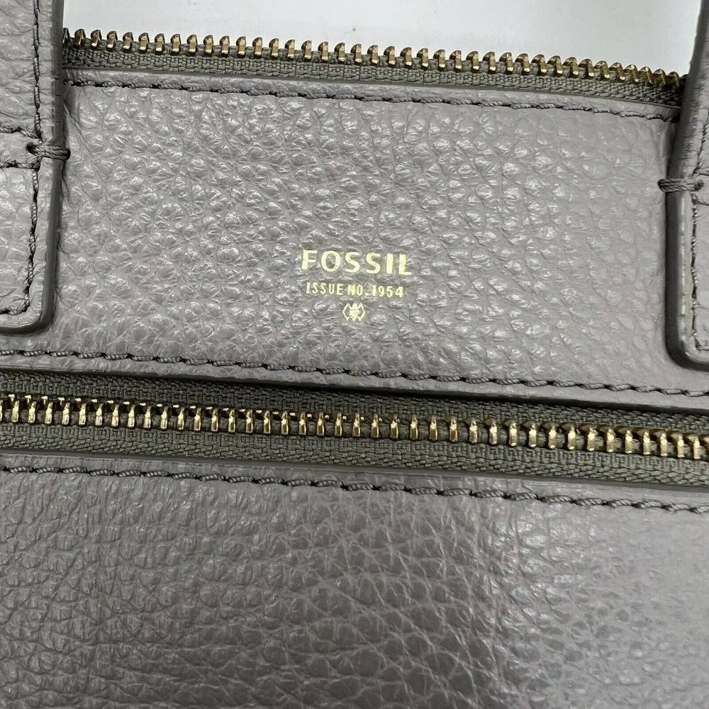 Fossil some discoloration