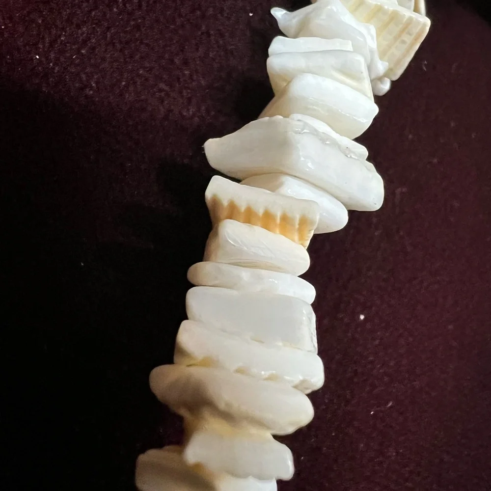 Source Unknown vibe style chip