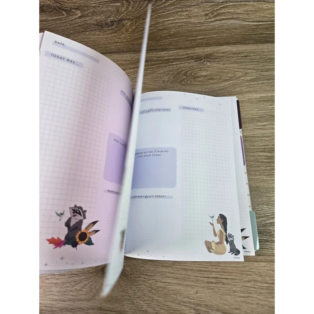 Happy Planner unused disney