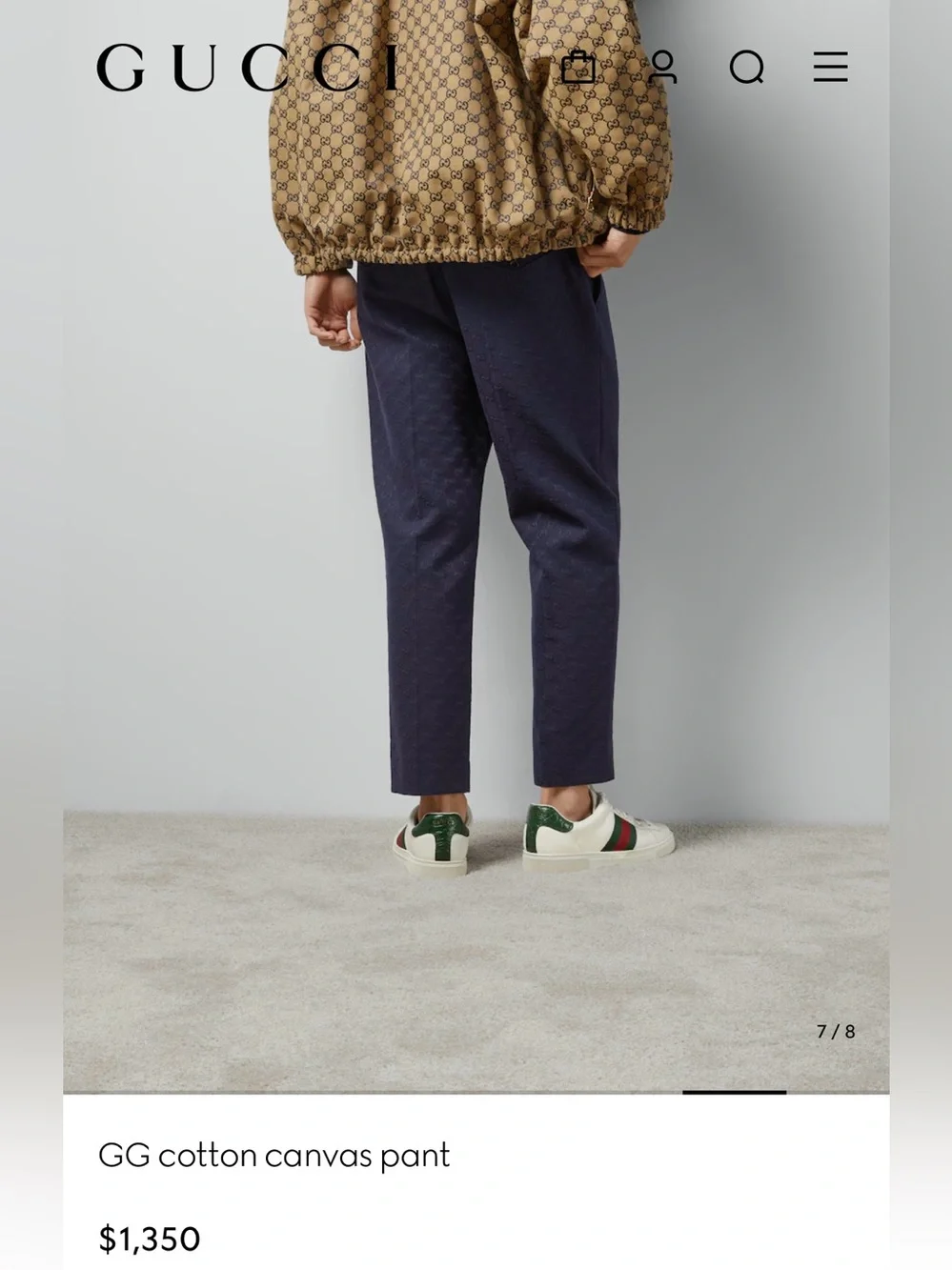 Gucci gg suit
