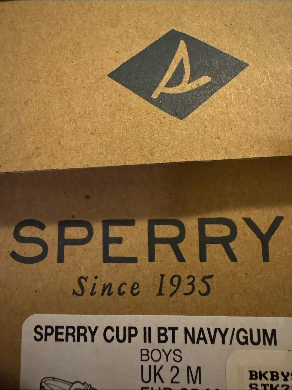 Sperry tan easy or