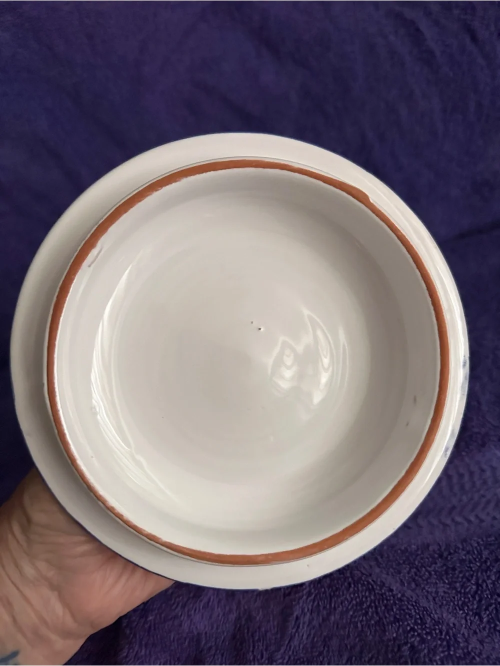 None versatile bowl