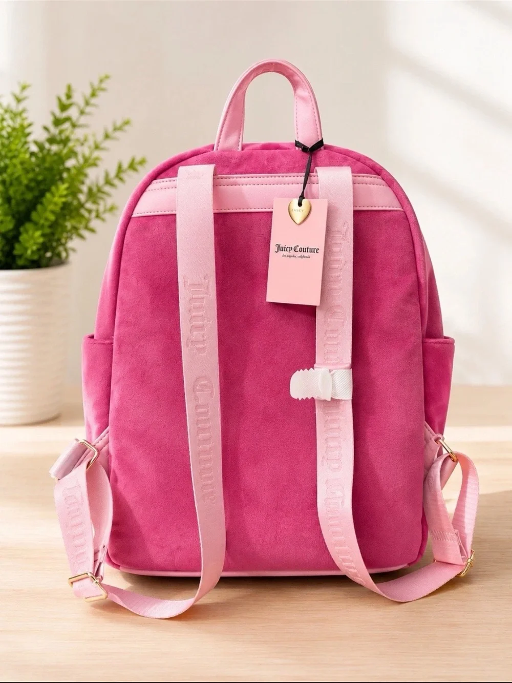 Juicy Couture plush velvet