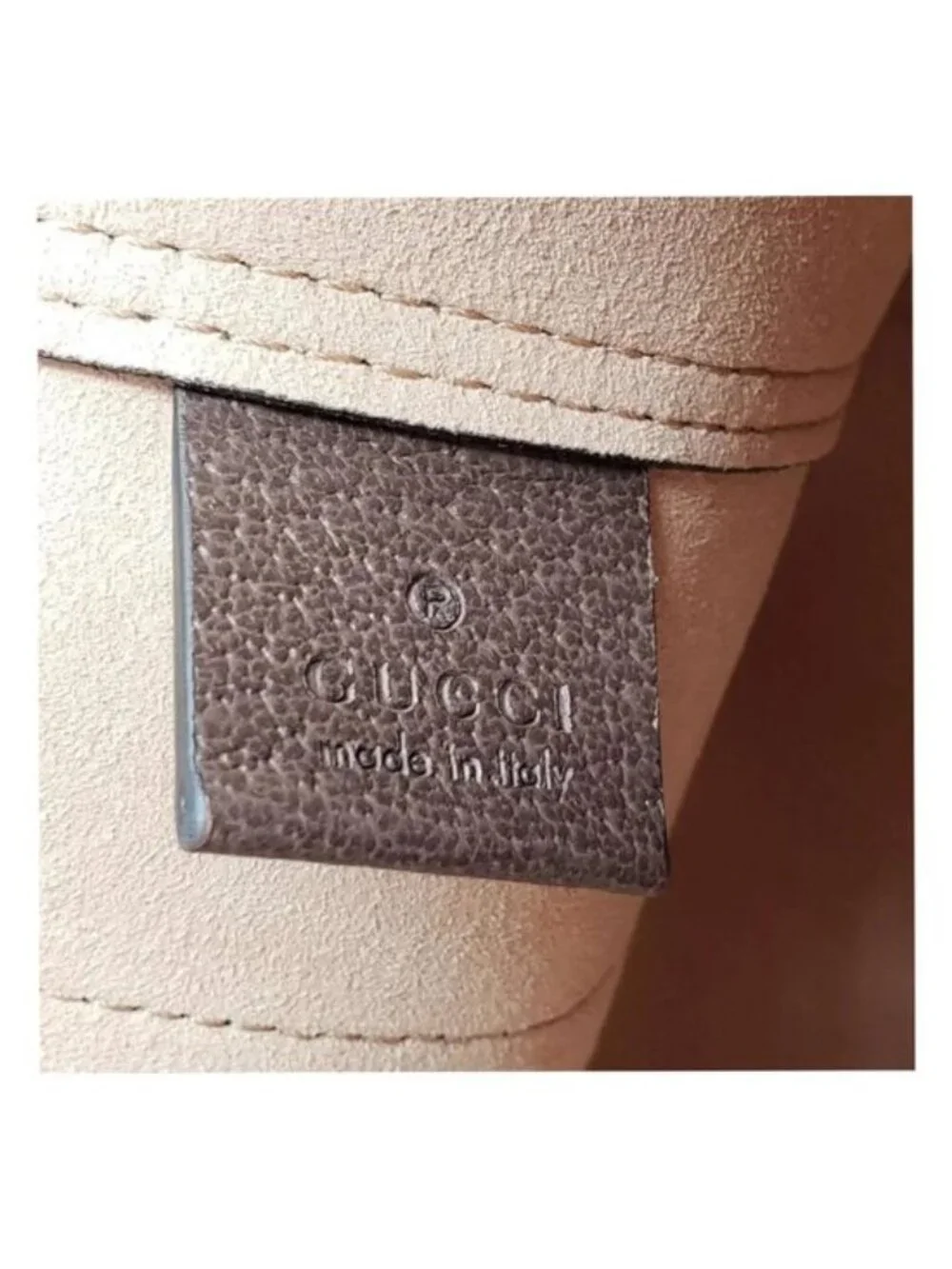 Gucci authentic ophidia