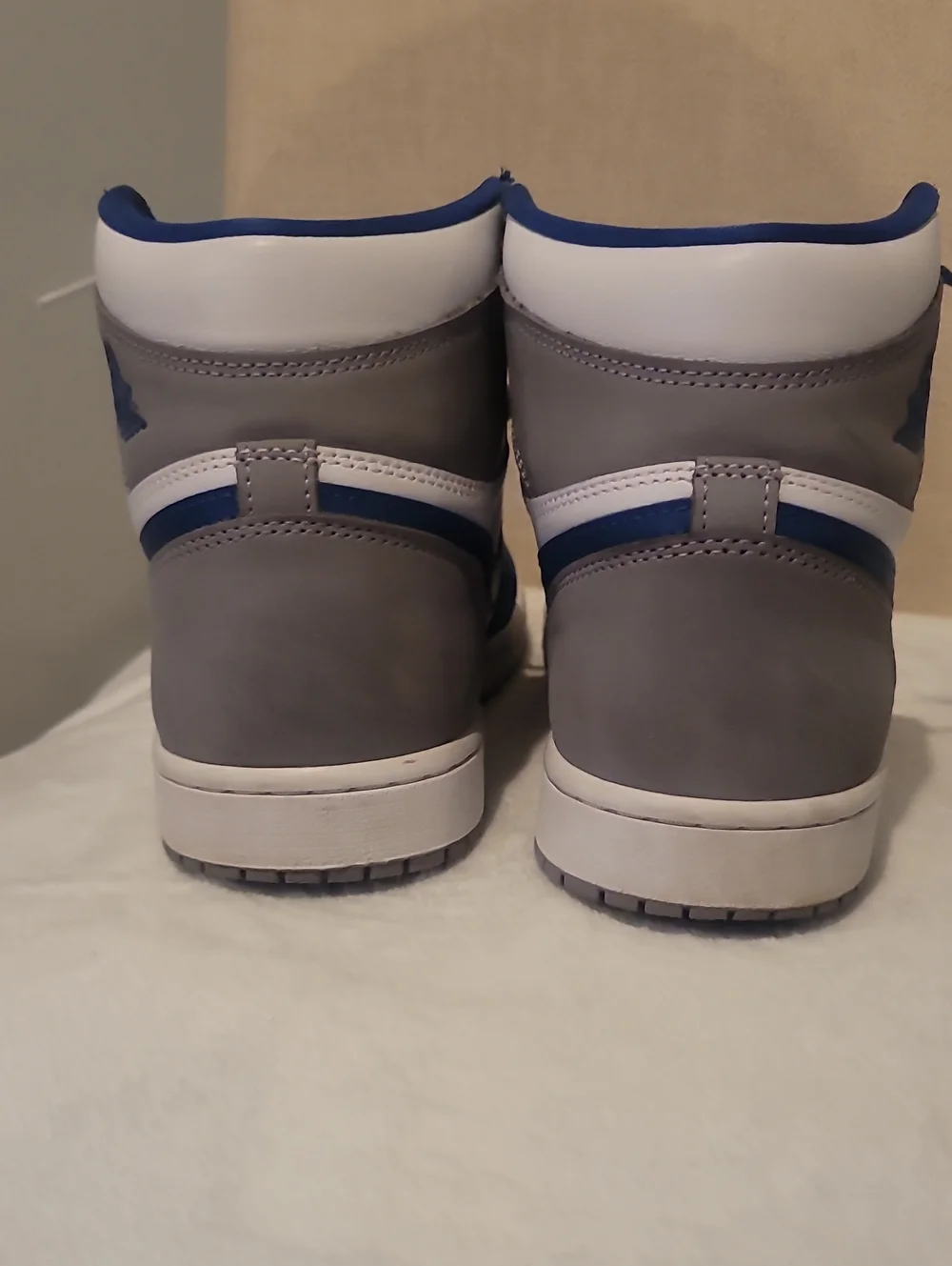 Nike jordan true