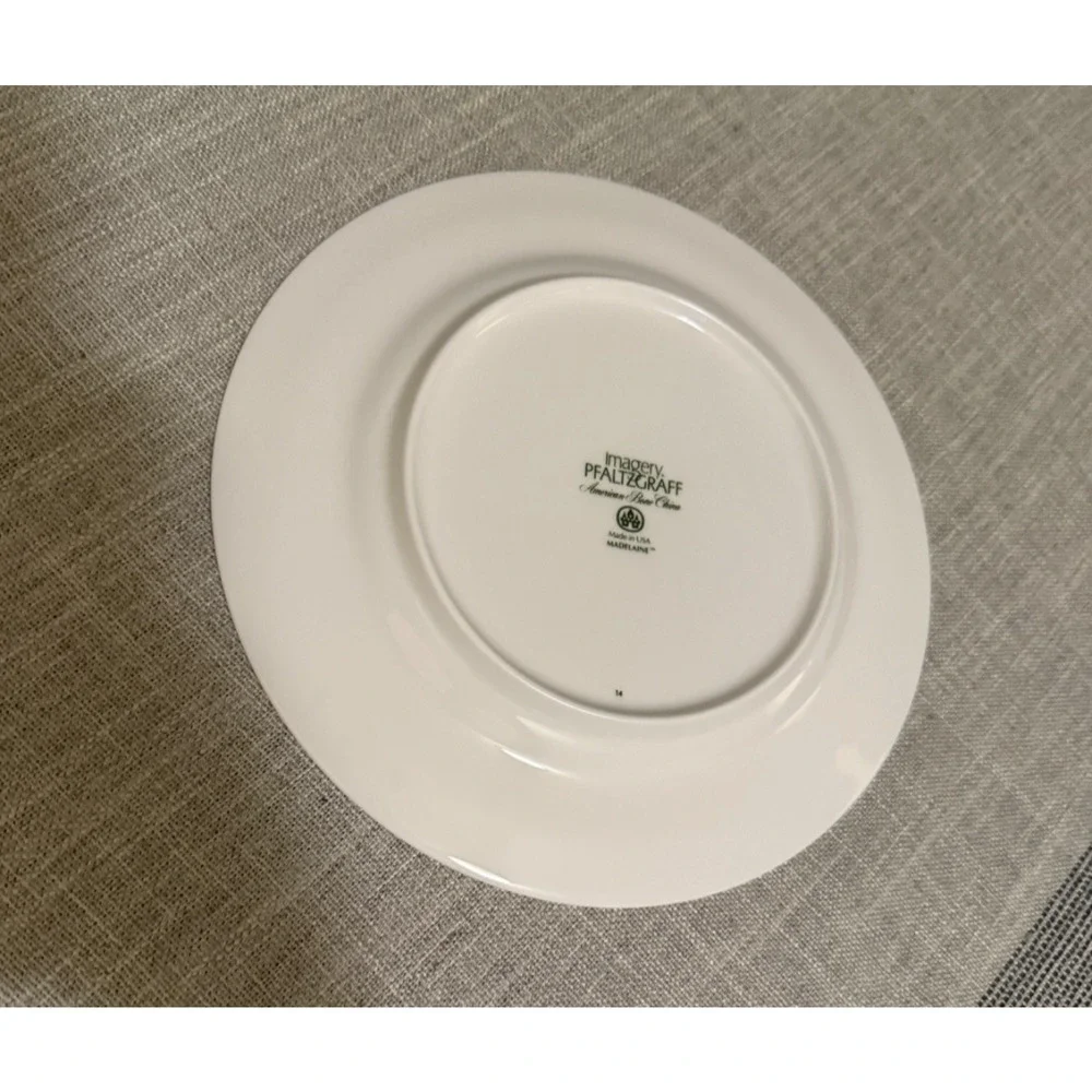 Syracuse China beautiful vintage