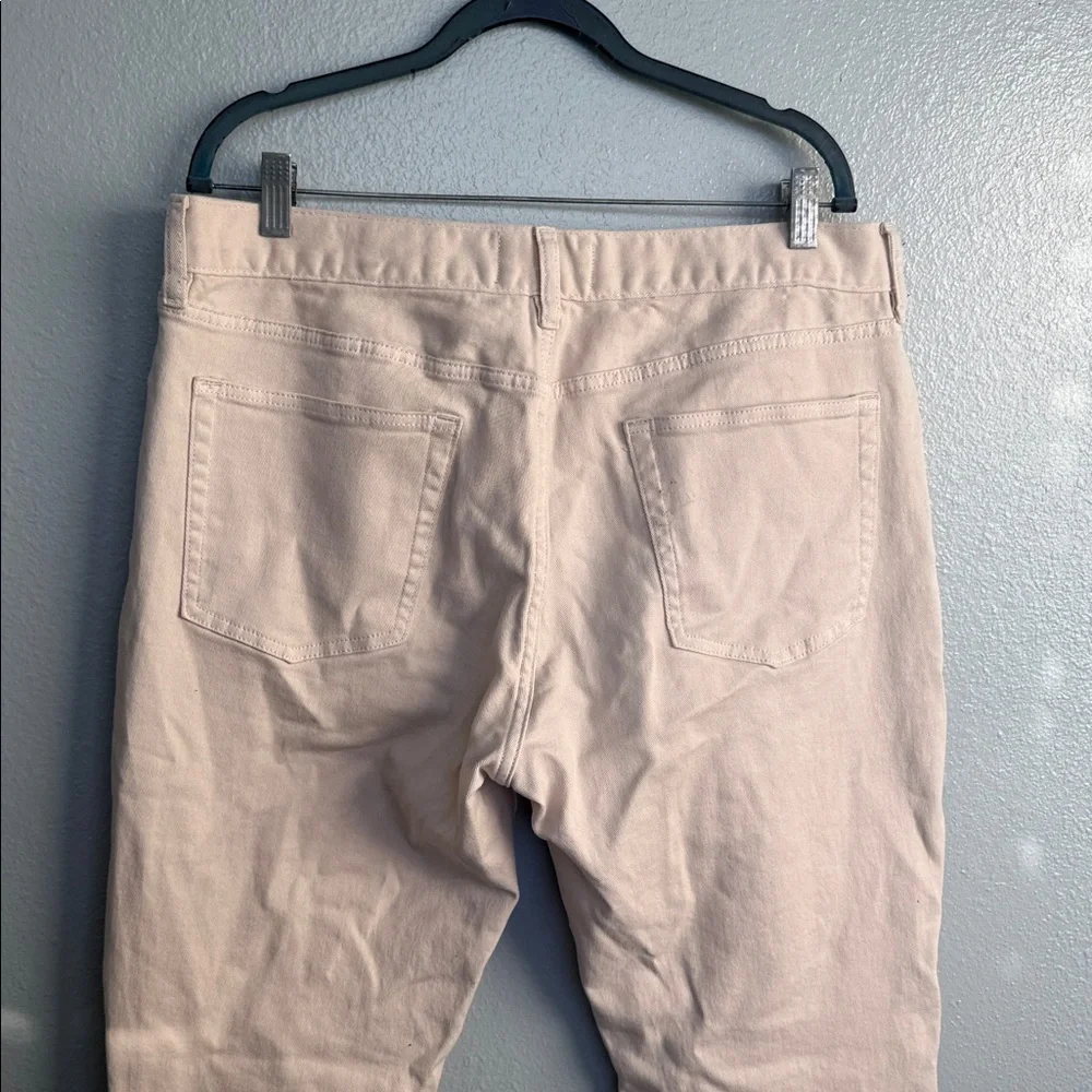 Everlane classic light