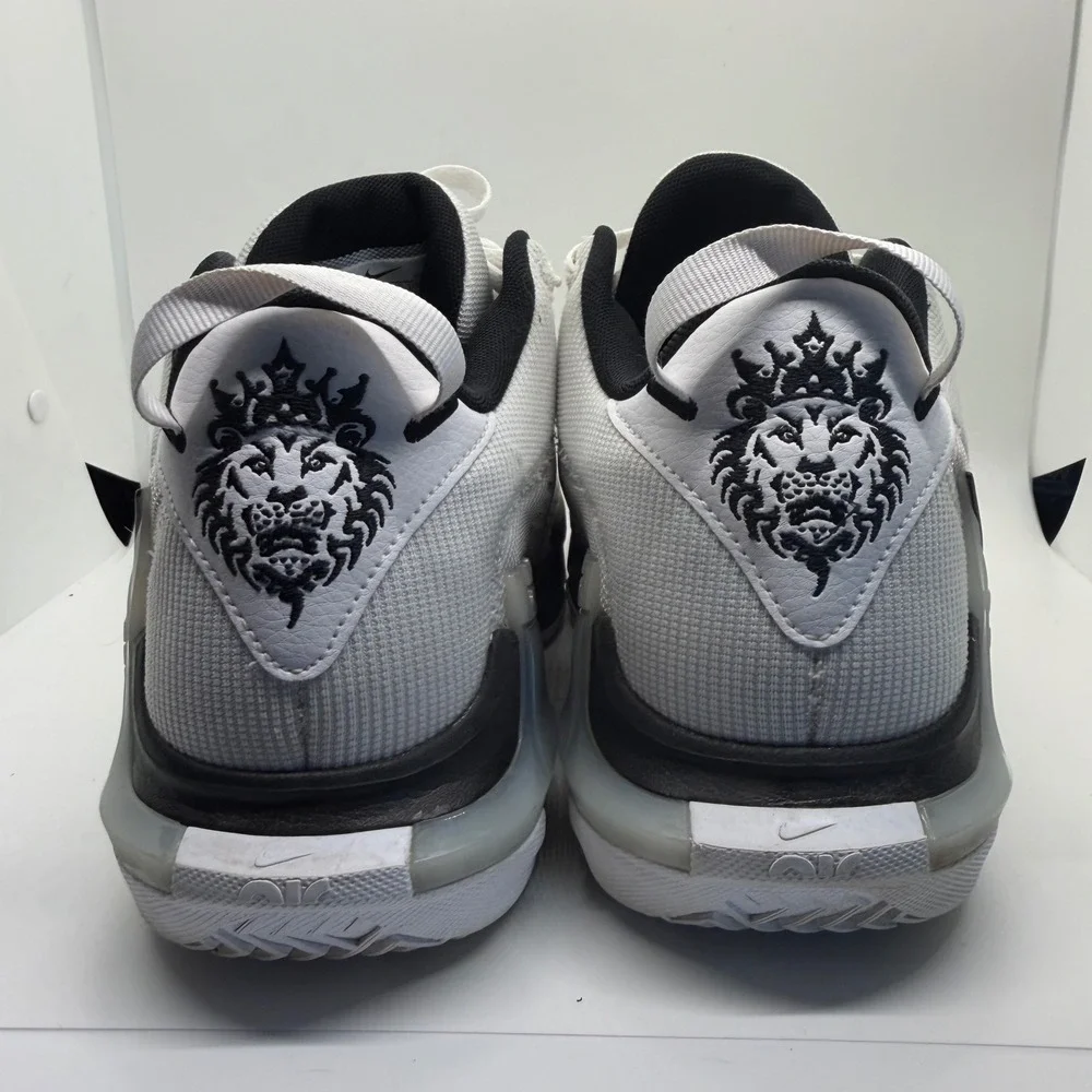 Nike lebron witness