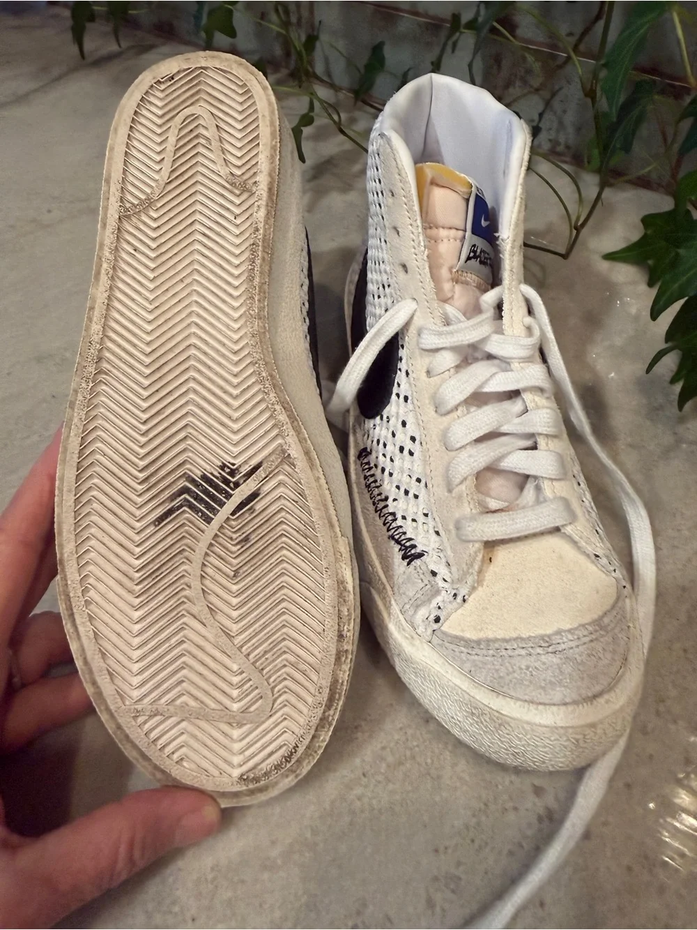 Nike authentic dunk