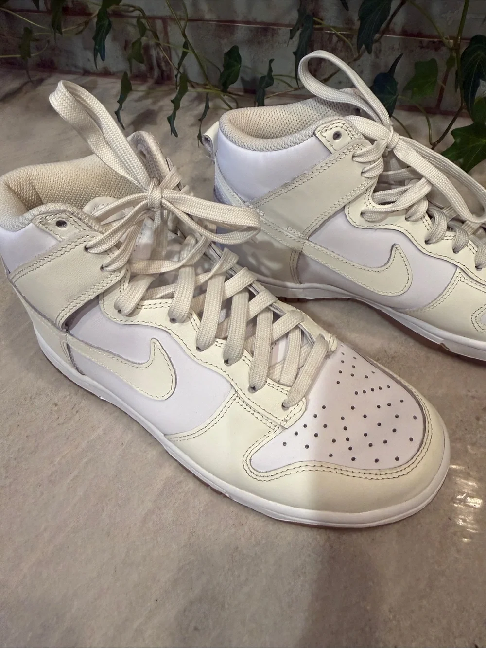Nike authentic dunk