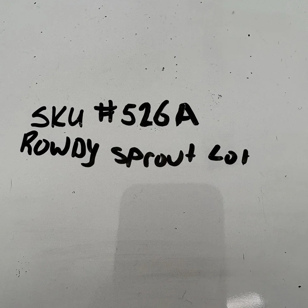Rowdy Sprout no holes