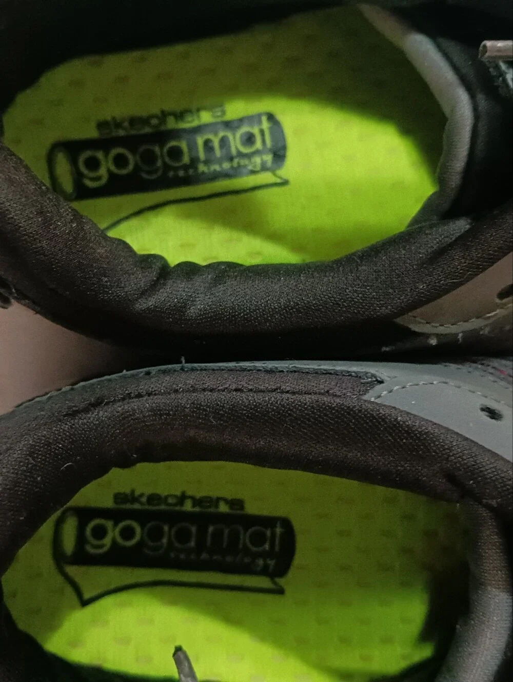 Skechers brand sneakers