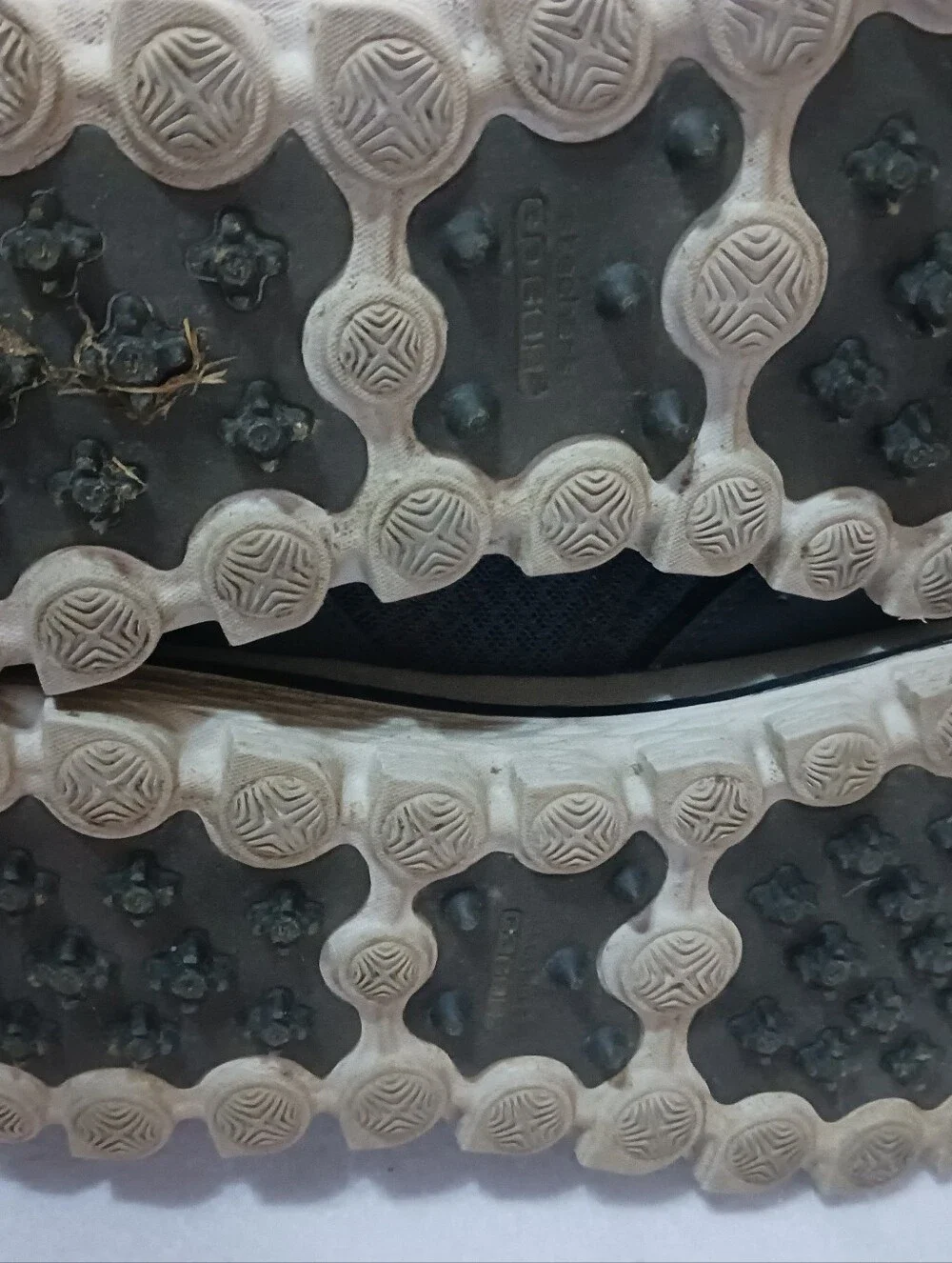 Skechers brand sneakers