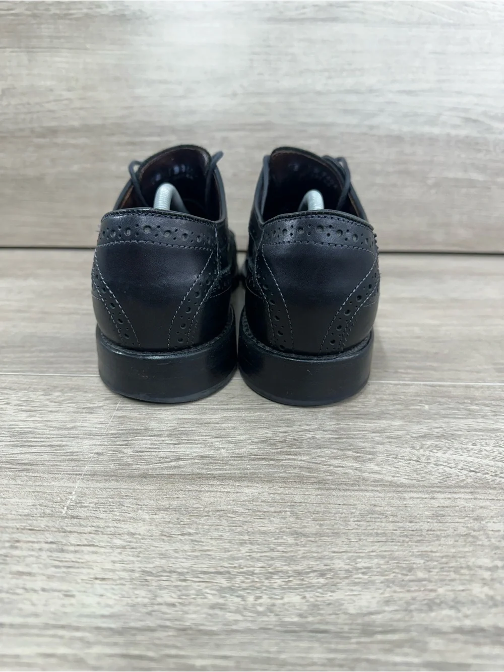 Allen Edmonds collection longwing “williams”