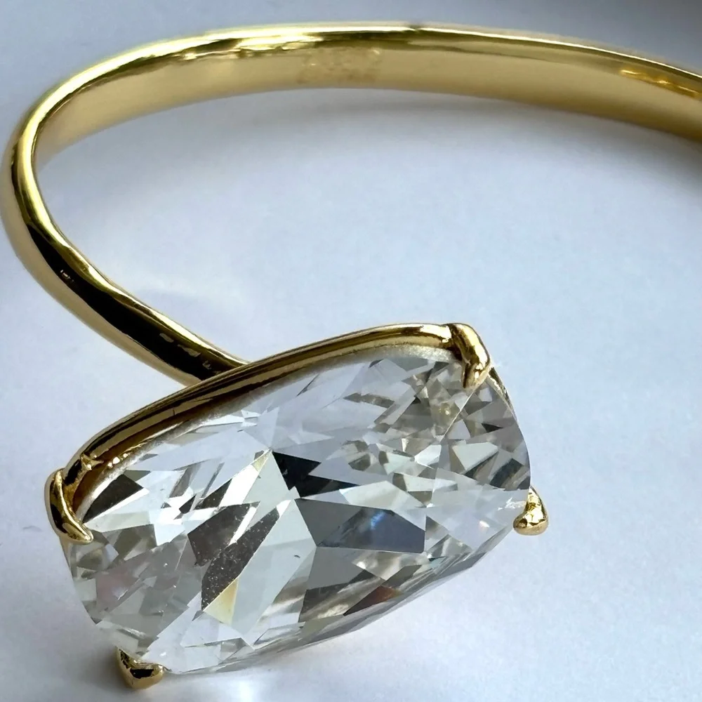 Alexis Bittar perfect worn