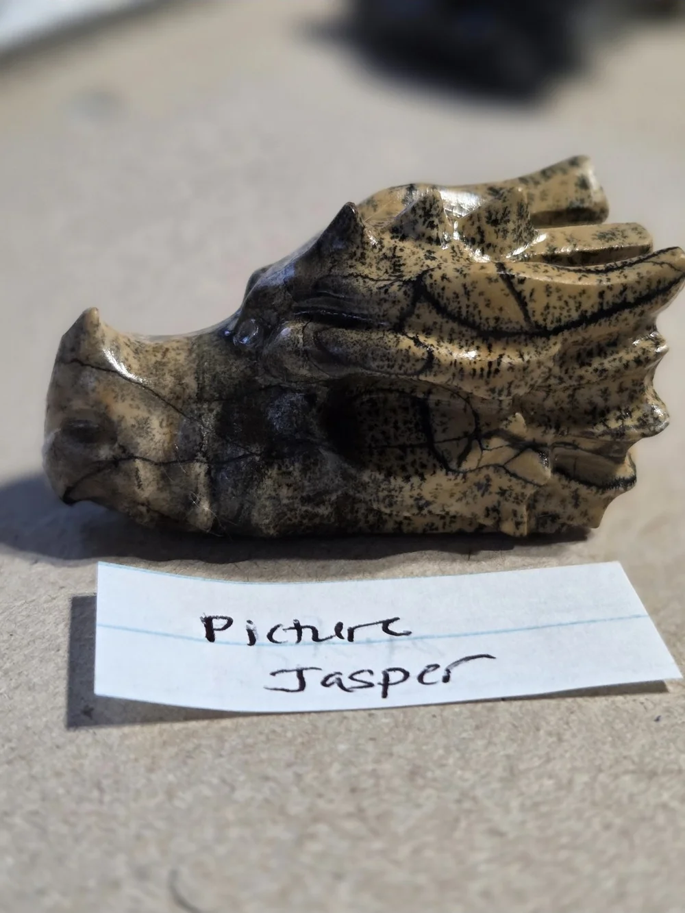 Picture Jasper detailed picture