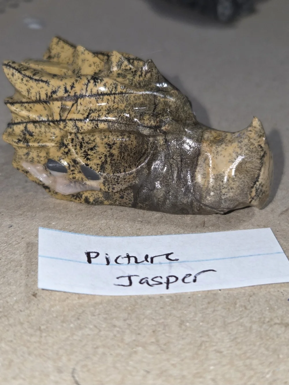 Picture Jasper detailed picture
