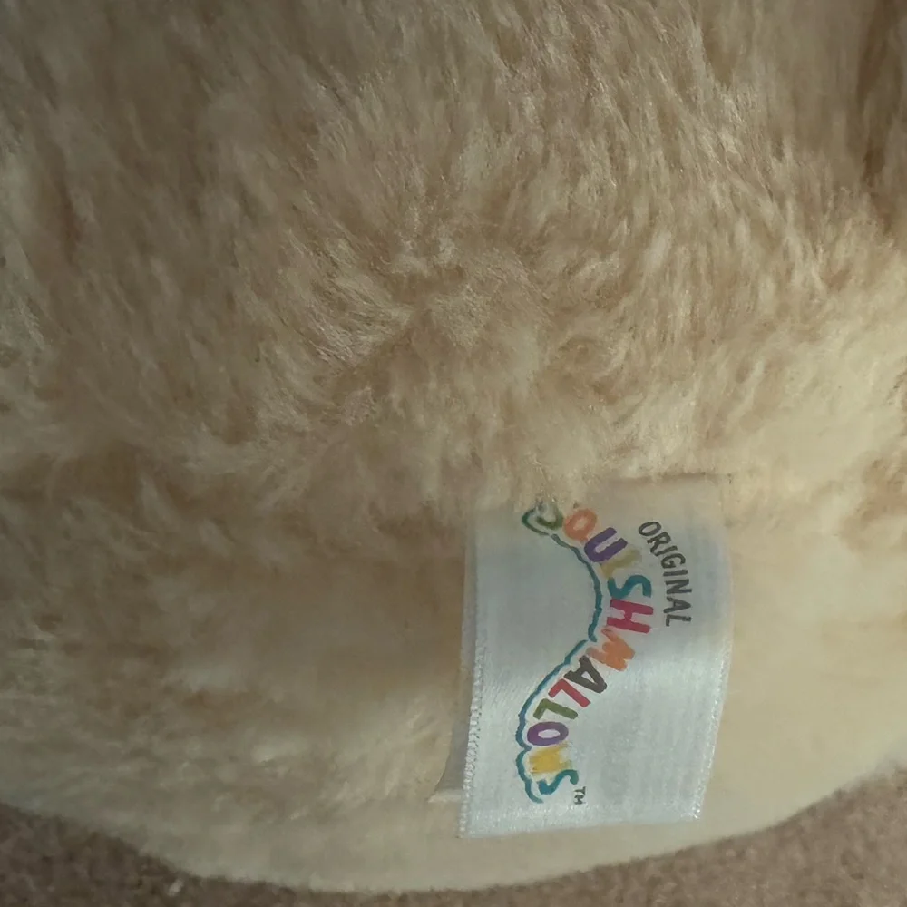 Squishmallows questions leave