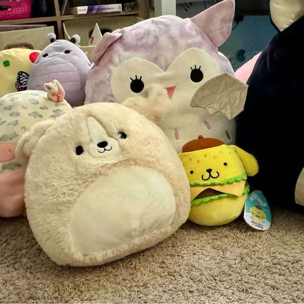 Squishmallows questions leave