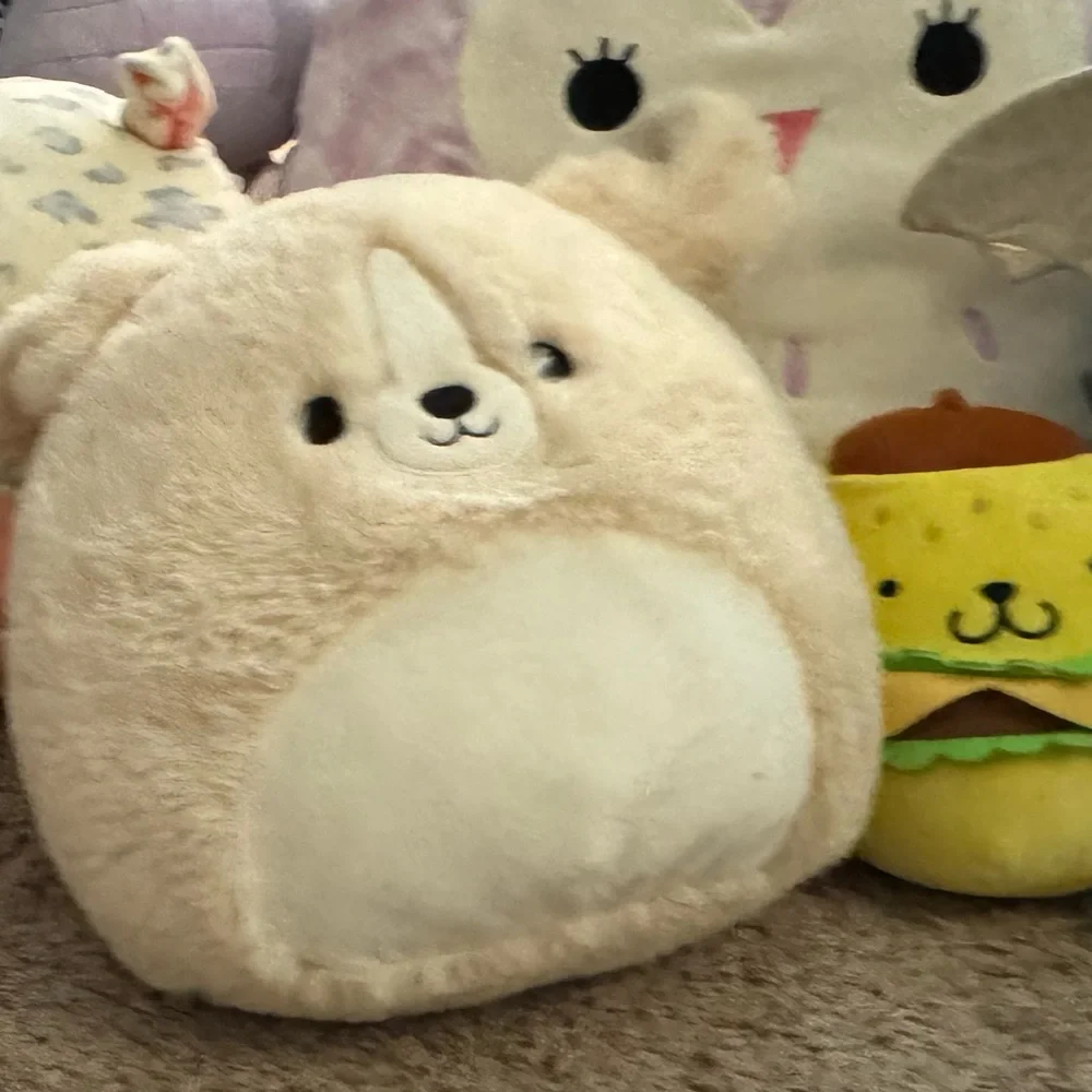Squishmallows questions leave