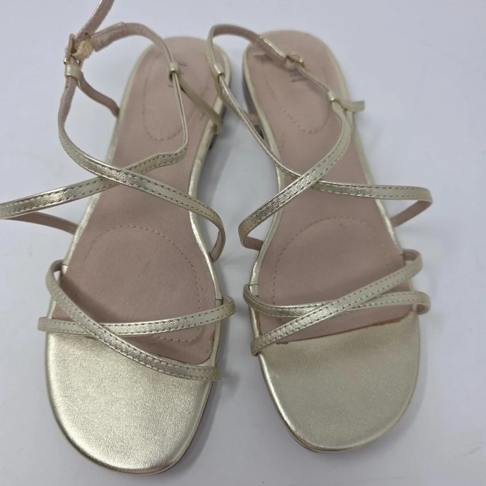 J. Jill fit these size