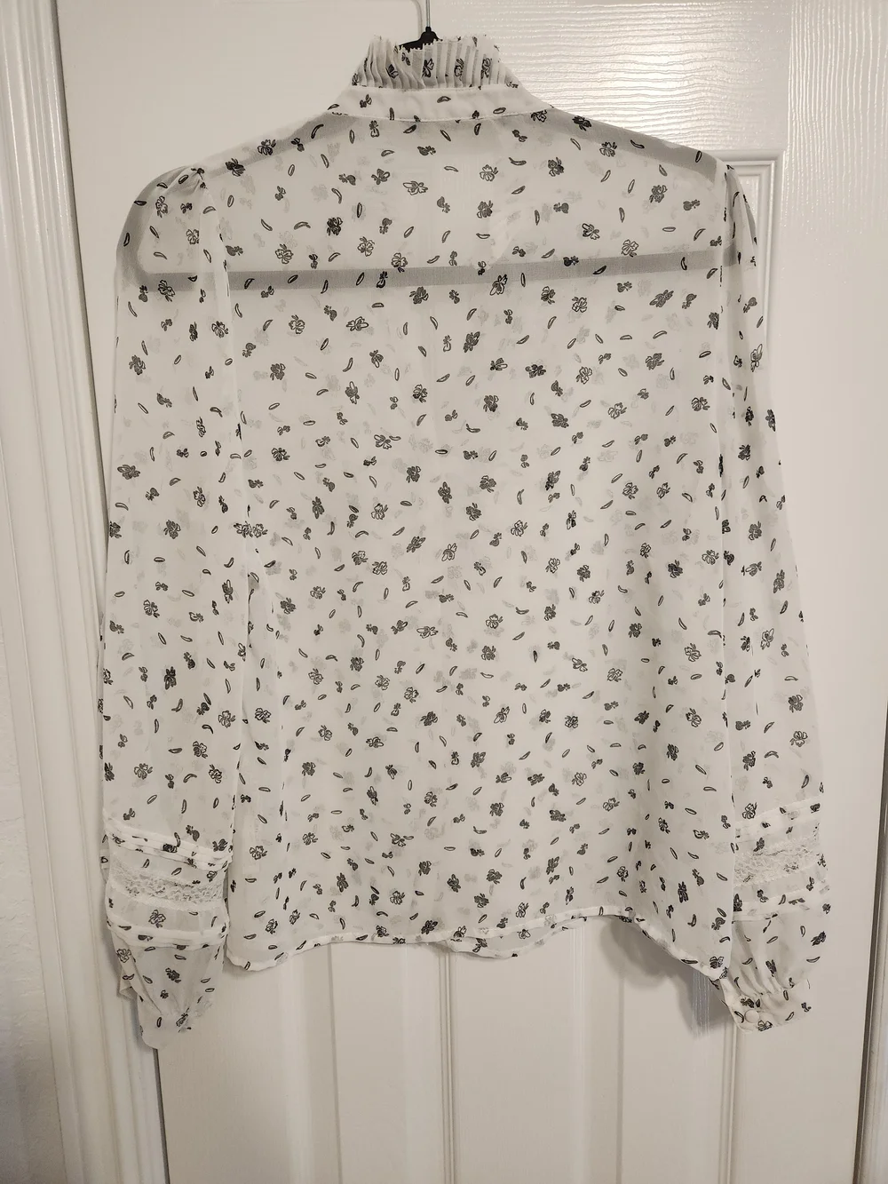 Zara sheer cottagecore