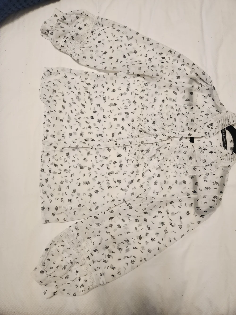 Zara sheer cottagecore
