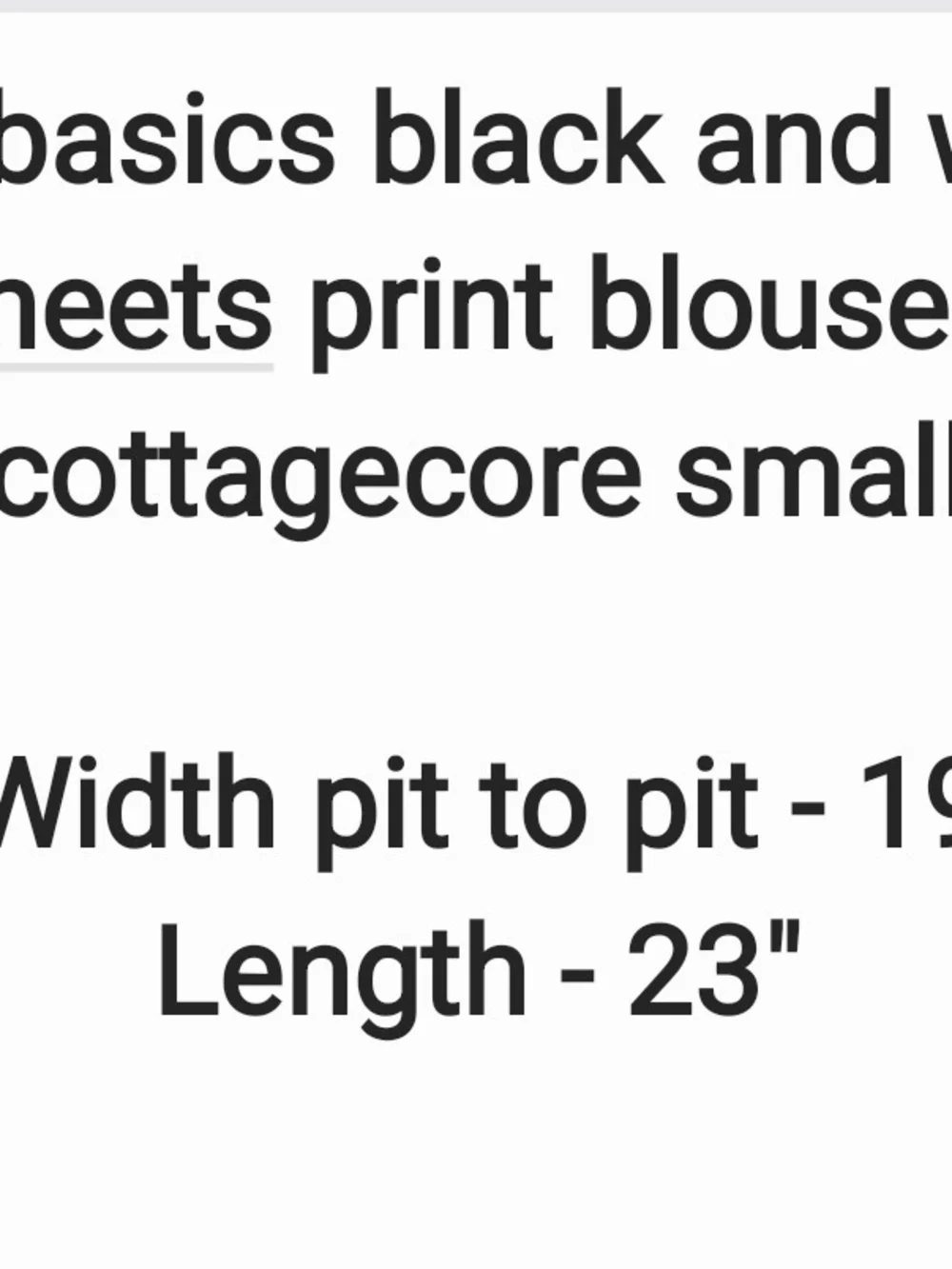 Zara sheer cottagecore