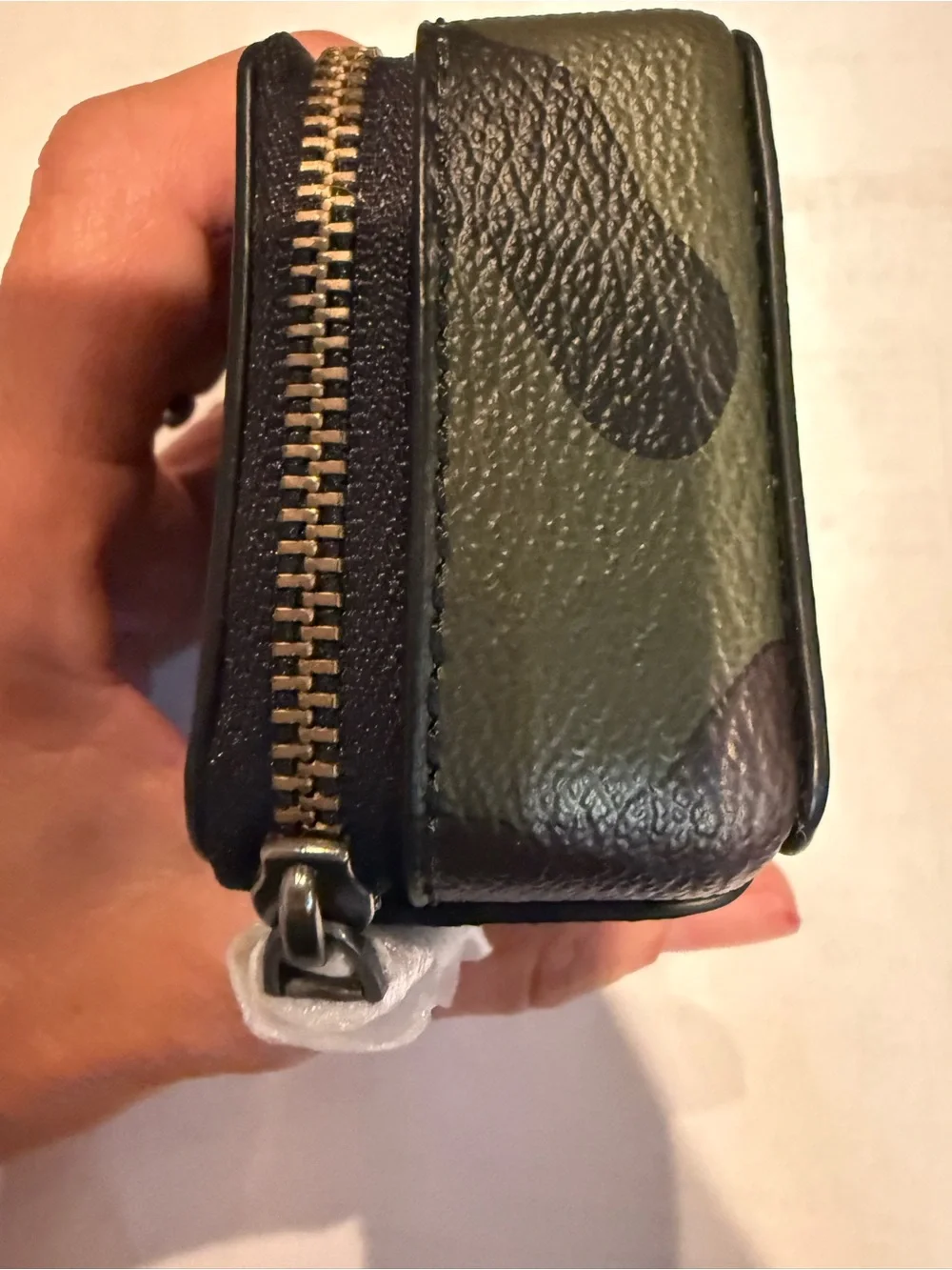Coach storage camouflage