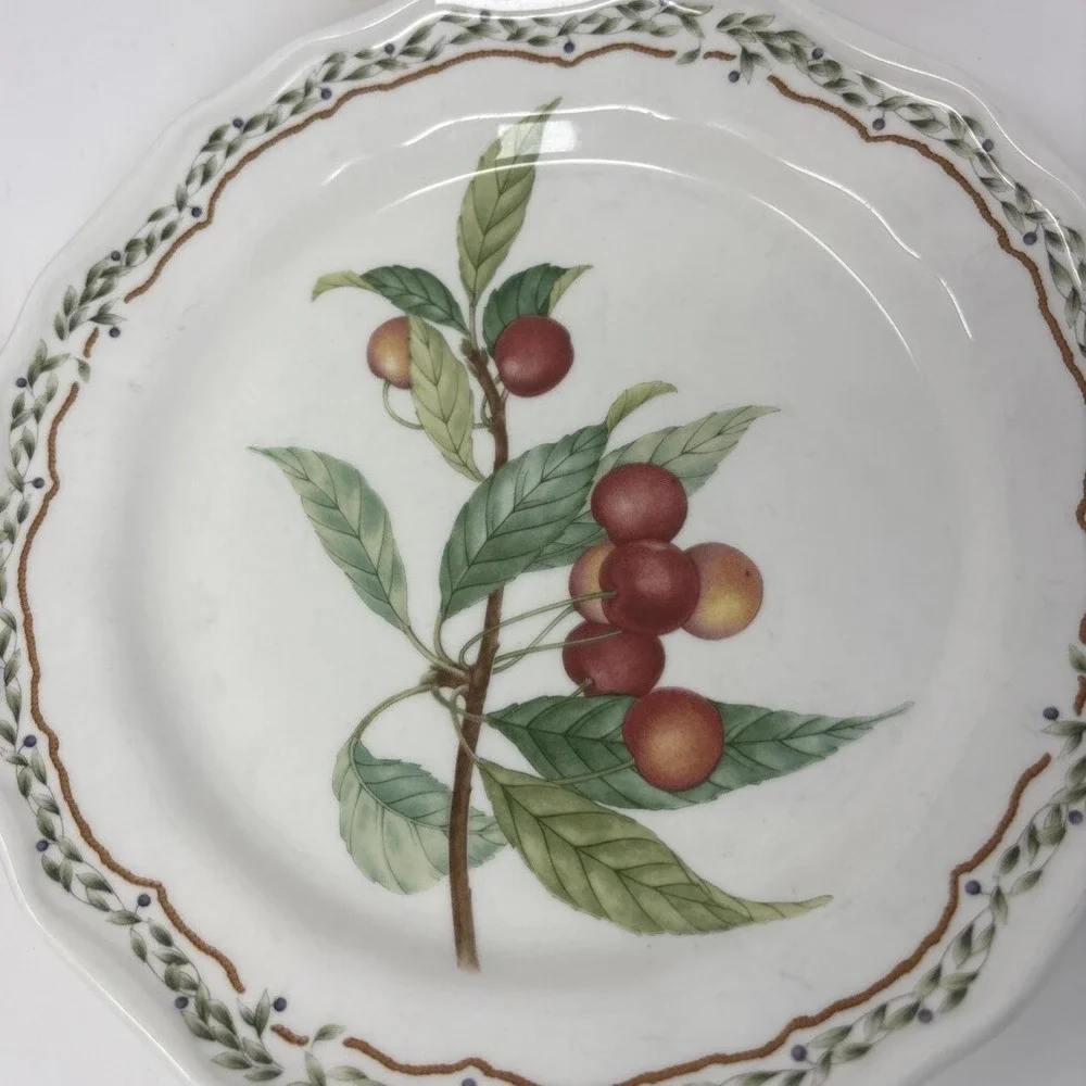 Noritake casual gourmet