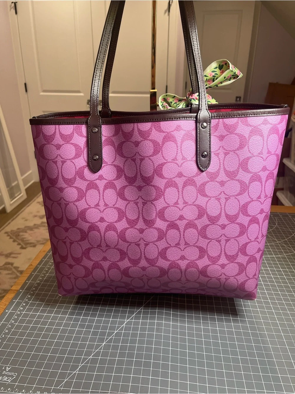 Coach description color