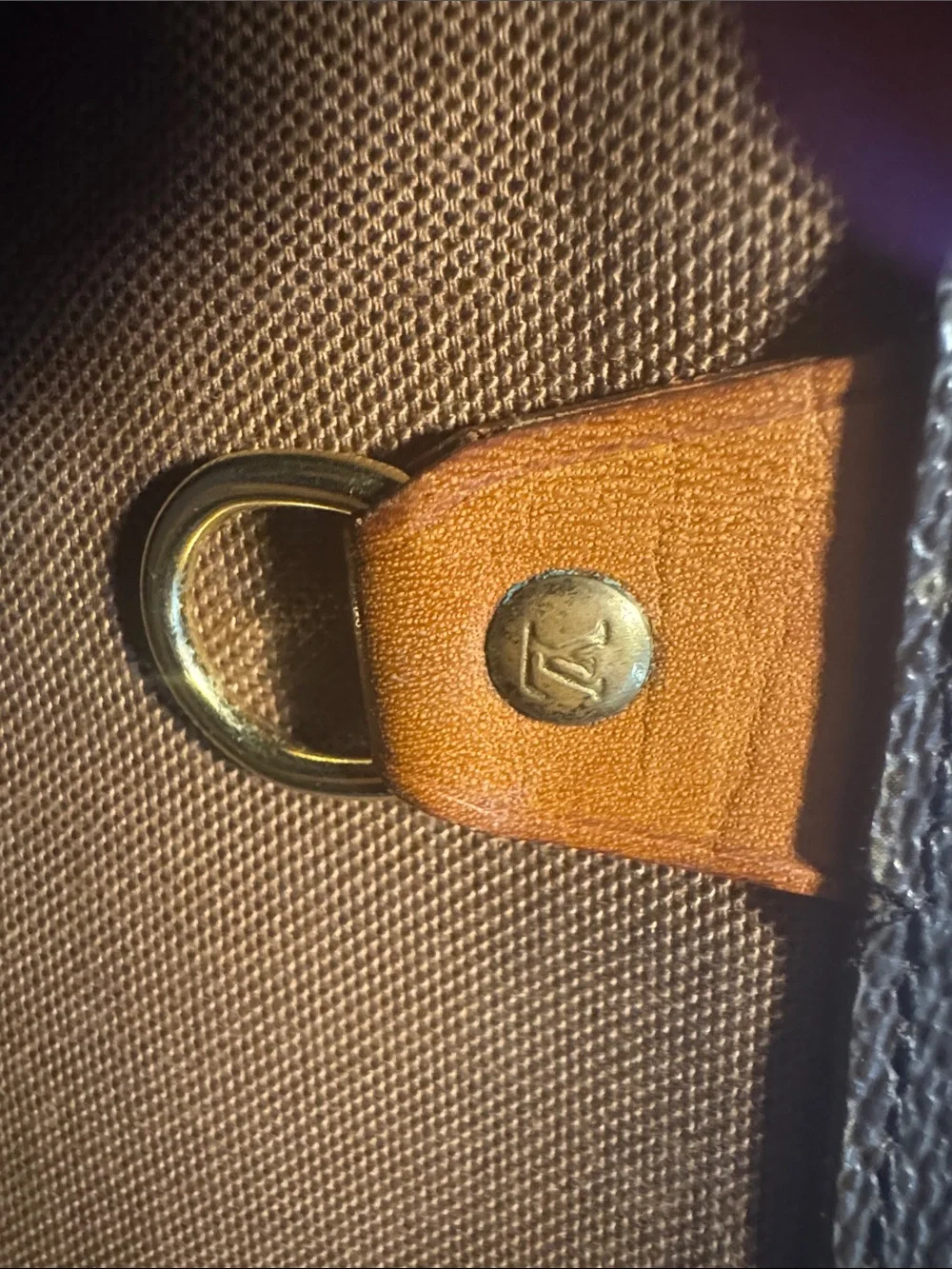 Louis Vuitton classic louis
