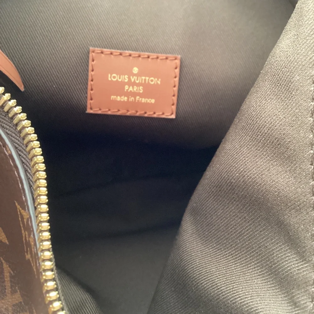 Louis Vuitton iconic brown hobo