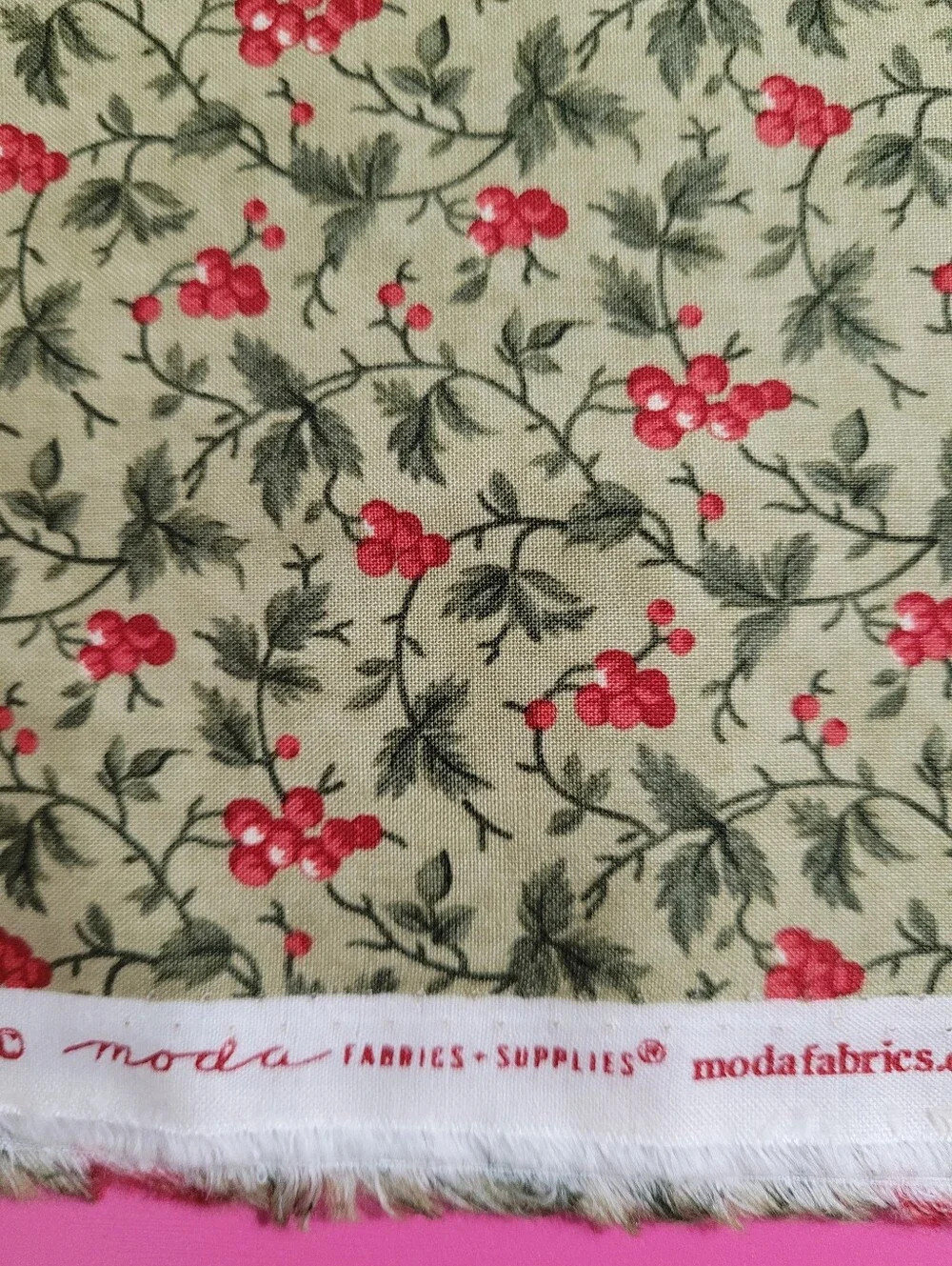 Moda poinsettia plaza