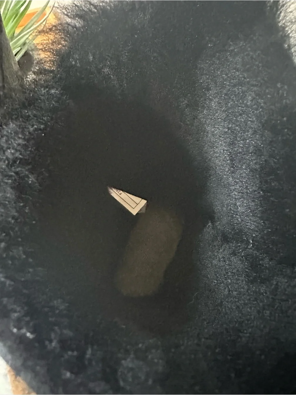 UGG suede interior plush