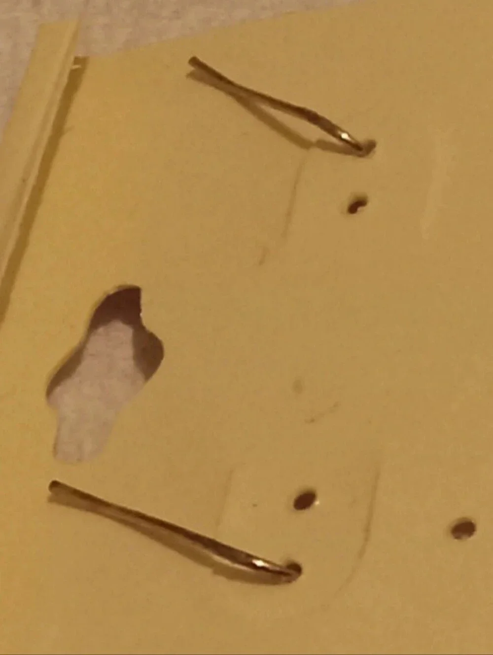 N/A woman earrings