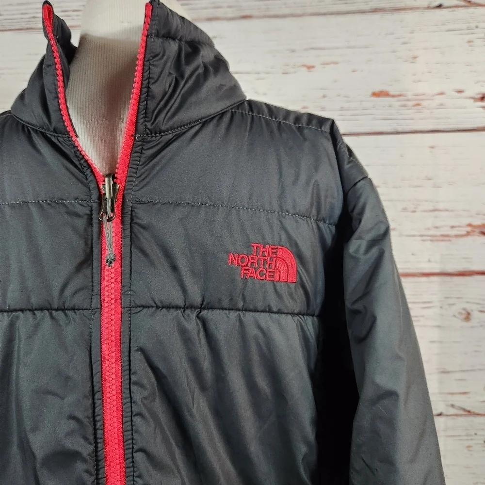 The North Face brand north