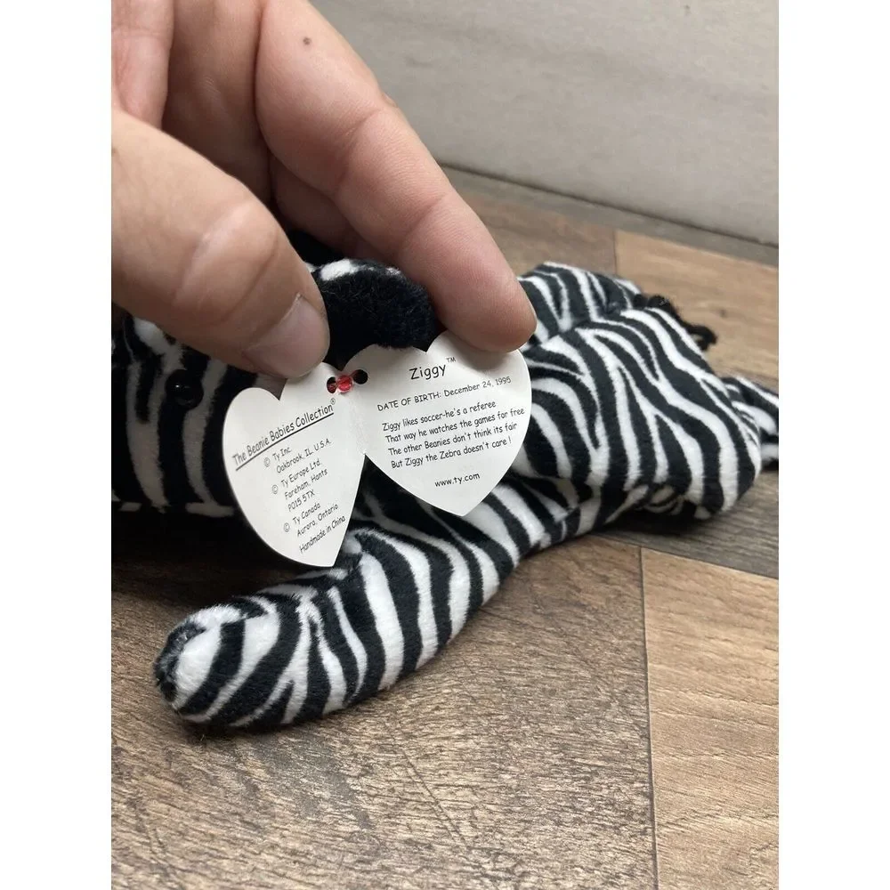 Ty advantage inch ziggy